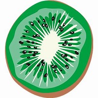 キウイのイラスト